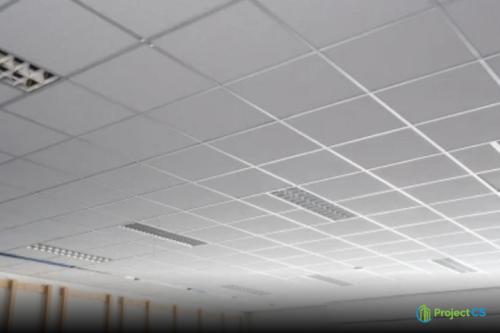 specialitie-grid ceiling-2