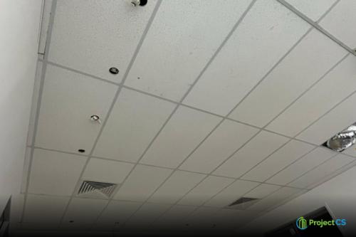 specialitie-grid ceiling